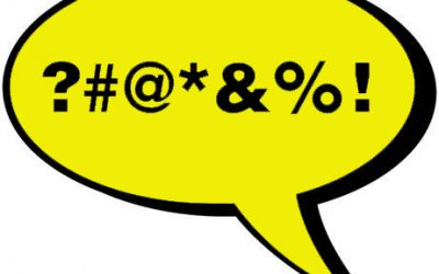 Political Perspective:  (Good) activism should not be about insult